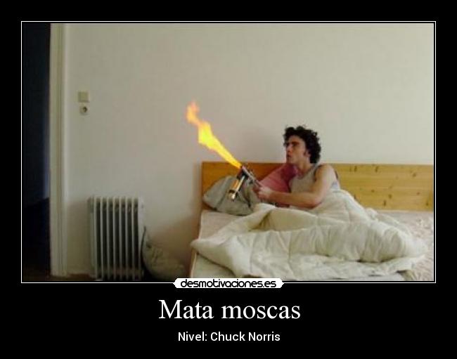 Mata moscas -