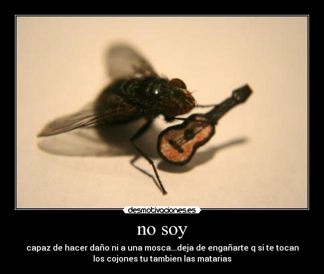 no soy - 