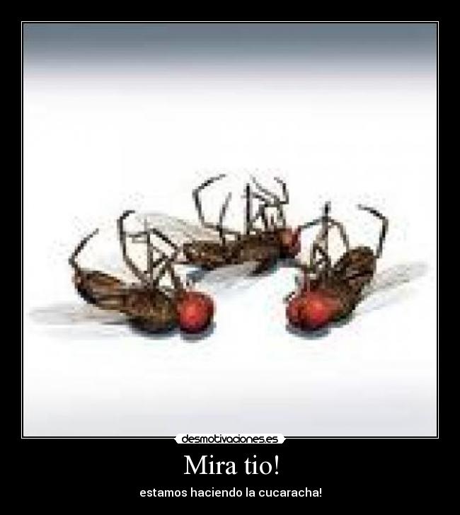 Mira tio! - estamos haciendo la cucaracha!