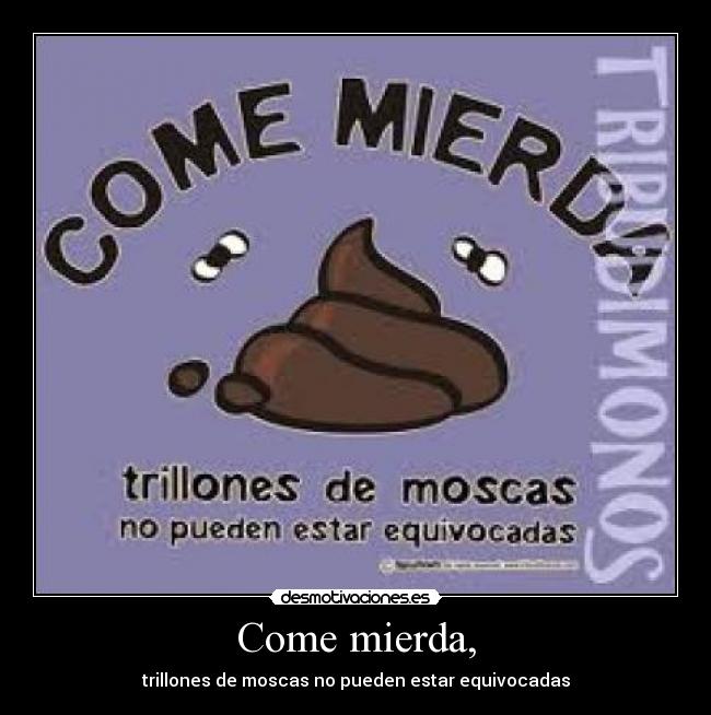 carteles mierda moscas desmotivaciones