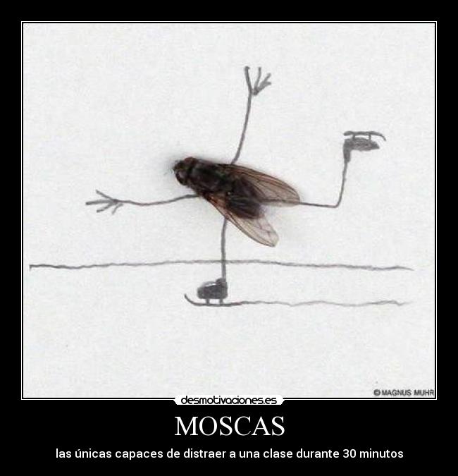 carteles anitha220 desmotivaciones