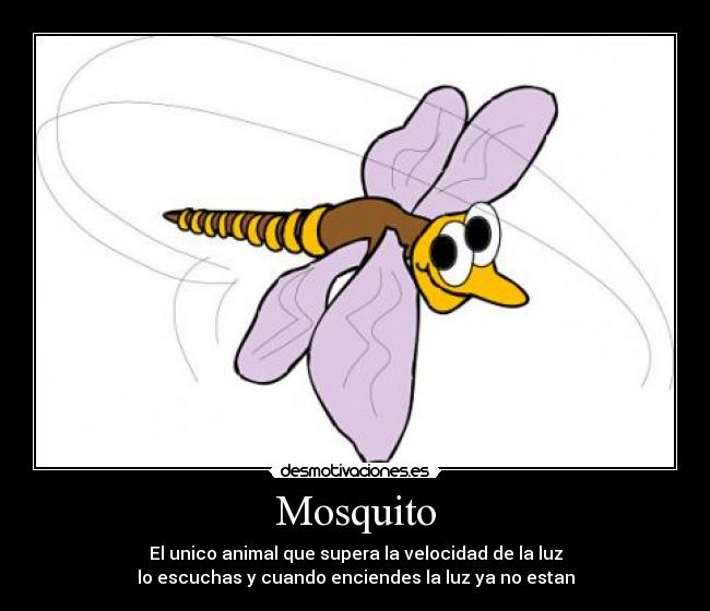 Mosquito - El unico animal que supera la velocidad de la luz
lo escuchas y cuando enciendes la luz ya no estan