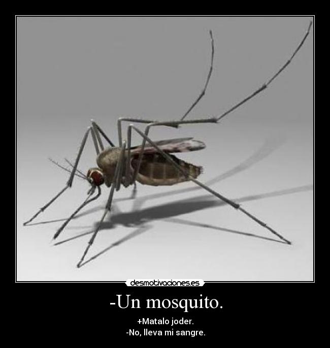 -Un mosquito. - +Matalo joder.
-No, lleva mi sangre.
