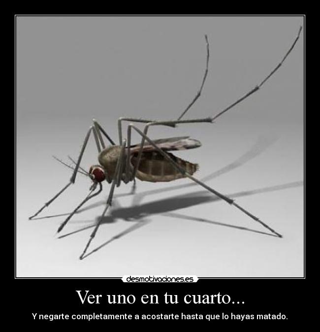 Ver uno en tu cuarto... -