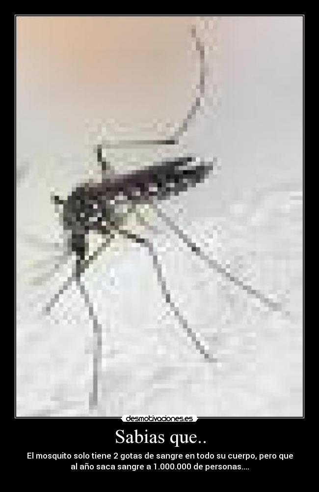 carteles manu97 desmotivaciones