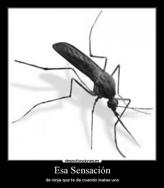 Esa Sensación - de ninja que te da cuando matas uno