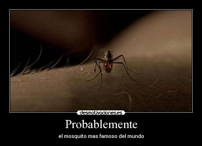 Probablemente - el mosquito mas famoso del mundo