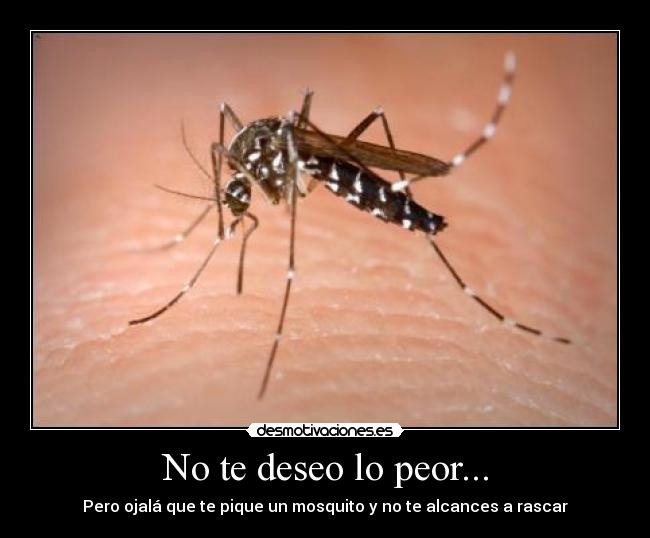 No te deseo lo peor... -