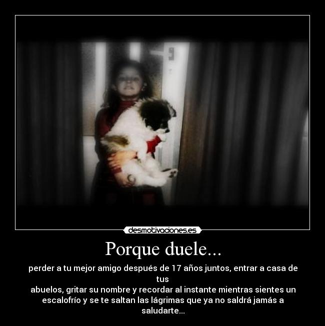 Porque duele... - perder a tu mejor amigo después de 17 años juntos, entrar a casa de
tus
abuelos, gritar su nombre y recordar al instante mientras sientes un
escalofrío y se te saltan las lágrimas que ya no saldrá jamás a
saludarte...