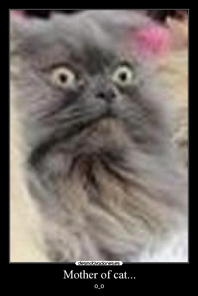 carteles mother god mother cat desmotivaciones
