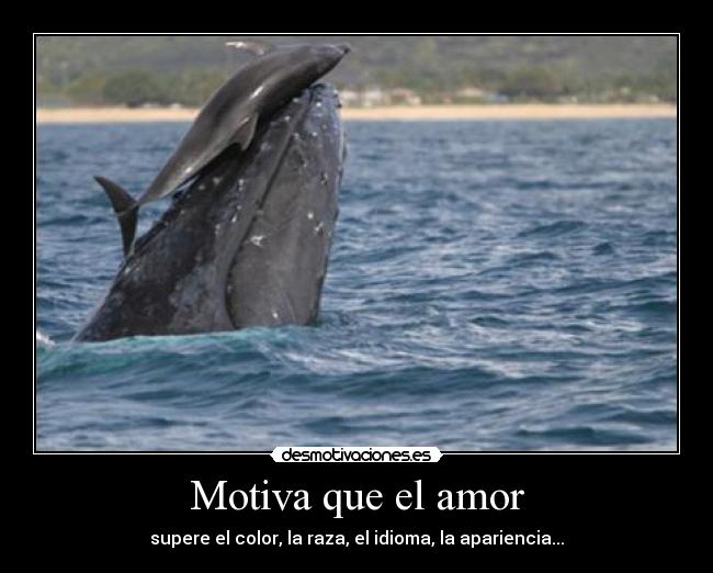 Motiva que el amor - supere el color, la raza, el idioma, la apariencia...