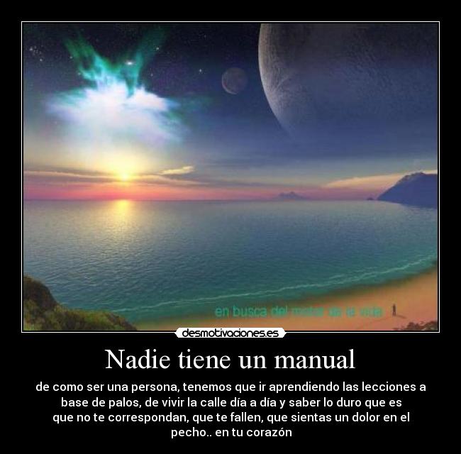 Nadie tiene un manual -