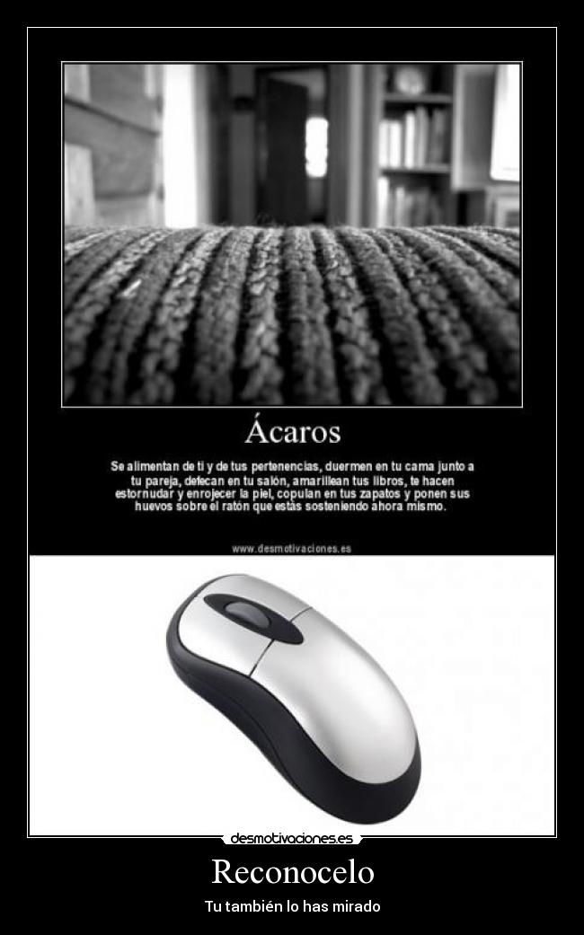 Reconocelo - Tu también lo has mirado