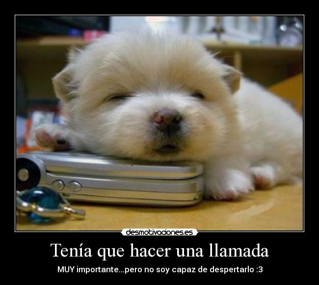 carteles cute desmotivaciones