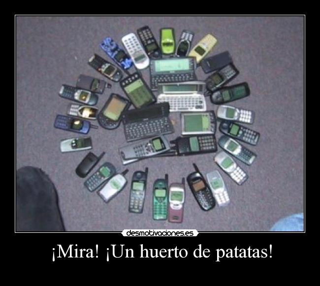 ¡Mira! ¡Un huerto de patatas! -