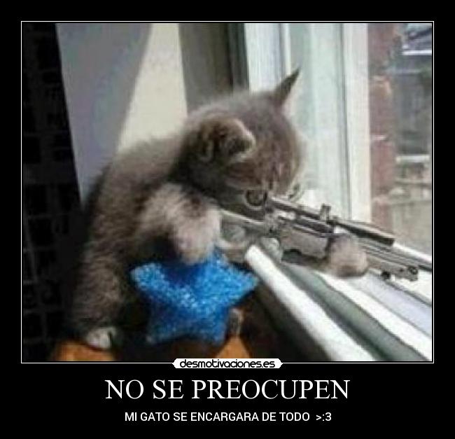 NO SE PREOCUPEN - MI GATO SE ENCARGARA DE TODO >:3