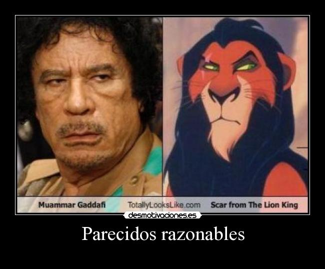 Parecidos razonables -