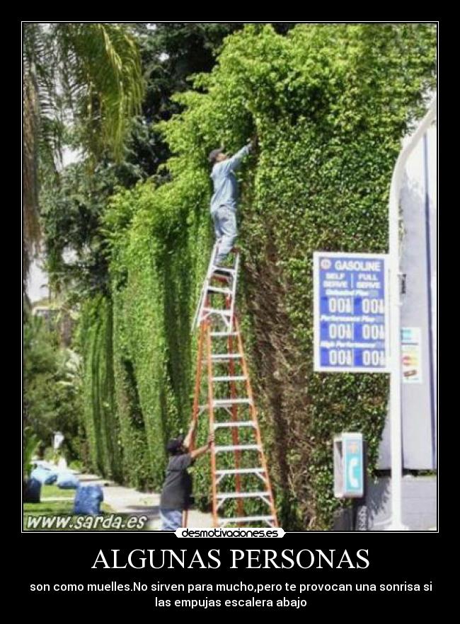 ALGUNAS PERSONAS - son como muelles.No sirven para mucho,pero te provocan una sonrisa si
las empujas escalera abajo