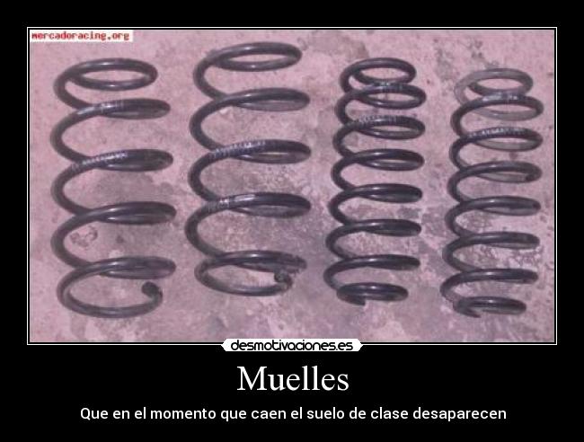 Muelles - 