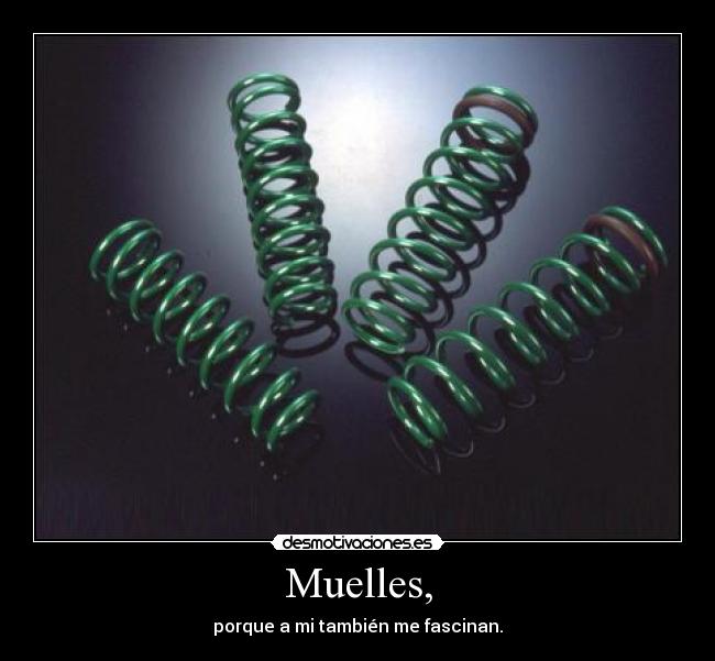 Muelles, - porque a mi también me fascinan.