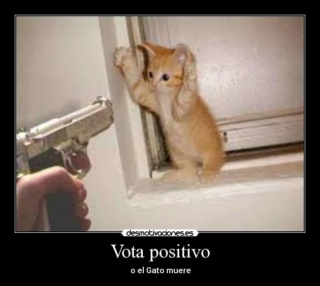 Vota positivo - o el Gato muere