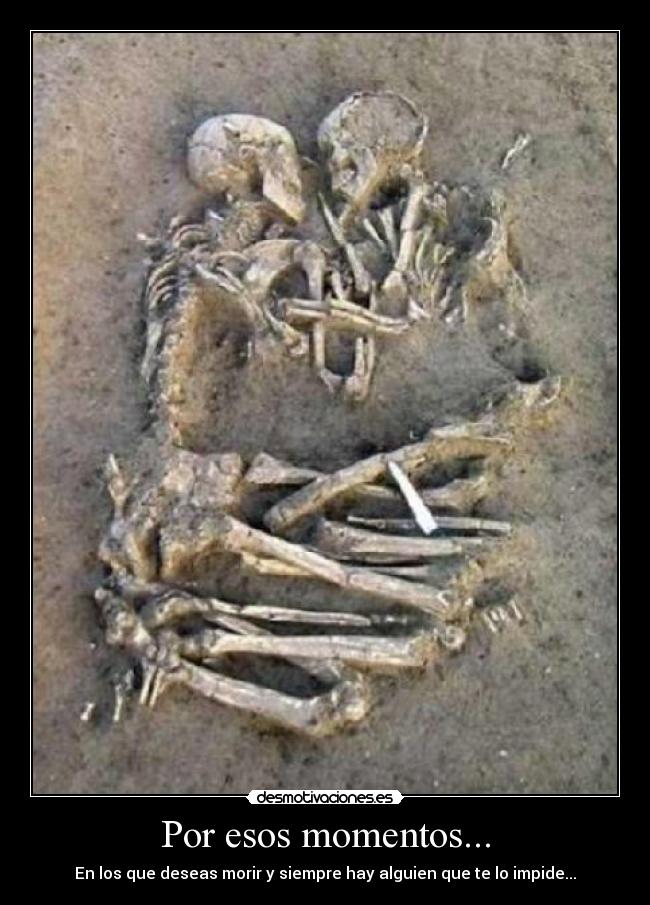 Por esos momentos... - 