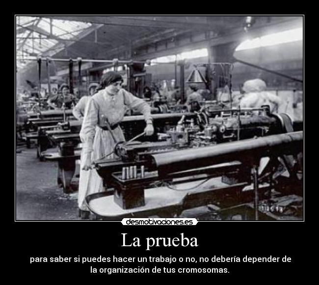 La prueba -  para saber si puedes hacer un trabajo o no, no debería depender de
la organización de tus cromosomas.