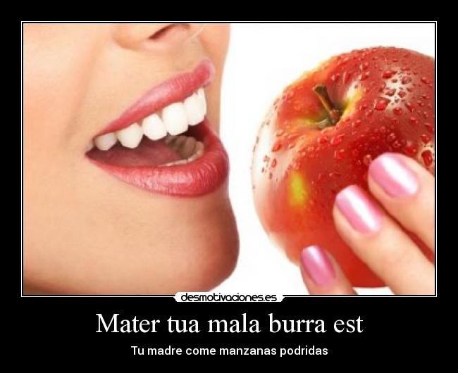 Mater tua mala burra est - Tu madre come manzanas podridas