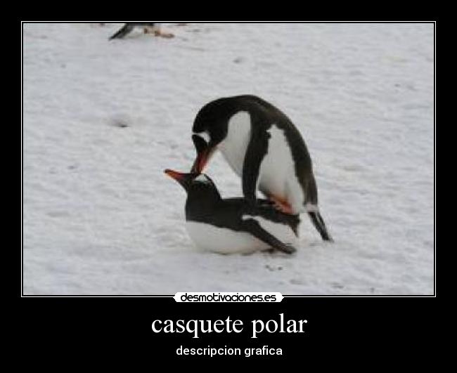 casquete polar - descripcion grafica
