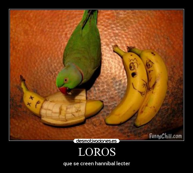 LOROS - 