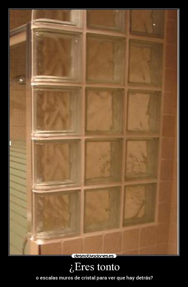 ¿Eres tonto - o escalas muros de cristal para ver que hay detrás?