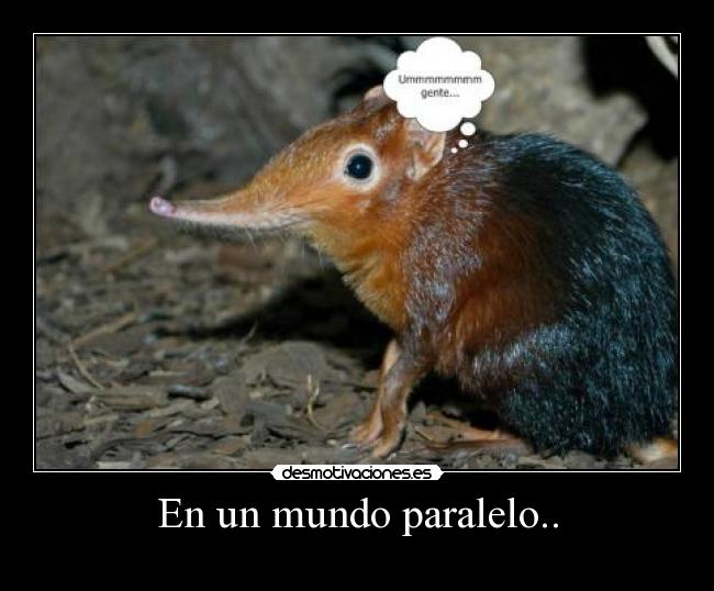 En un mundo paralelo.. - 