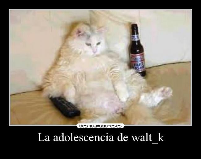 La adolescencia de walt_k -