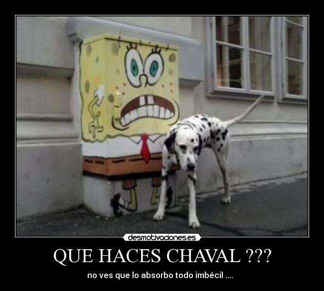 QUE HACES CHAVAL ??? - 