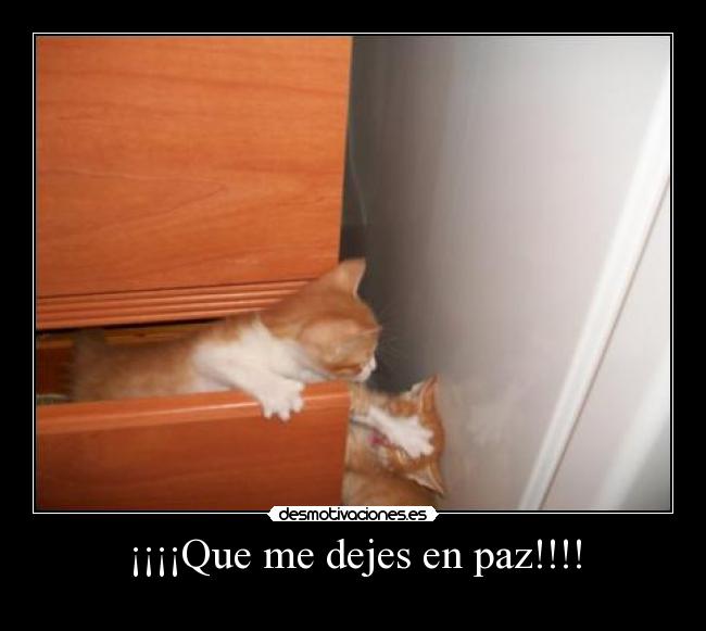 ¡¡¡¡Que me dejes en paz!!!! -