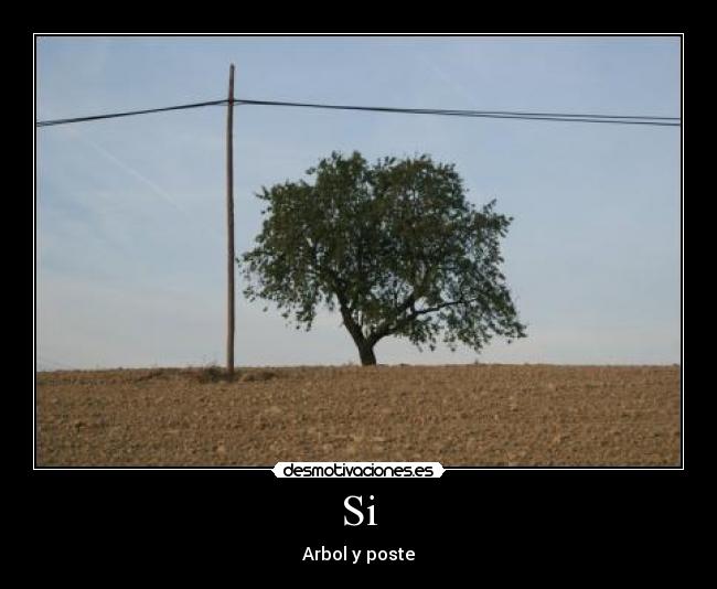 Si - Arbol y poste