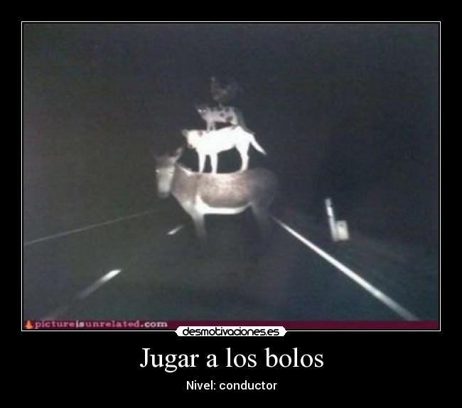 Jugar a los bolos - 