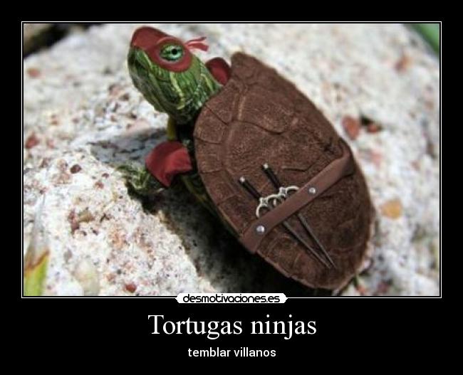 Tortugas ninjas -