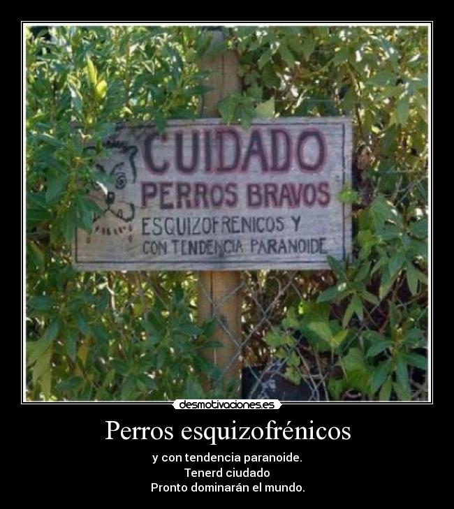 Perros esquizofrénicos - 