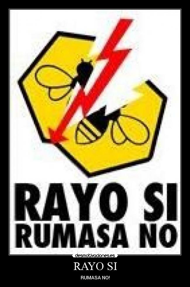 RAYO SI - 