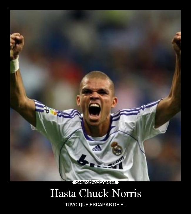 Hasta Chuck Norris -