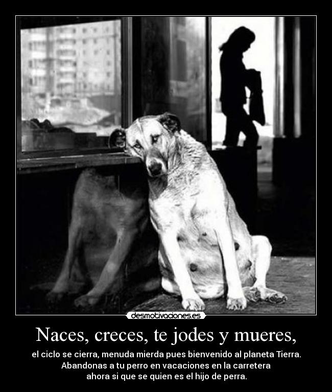 Naces, creces, te jodes y mueres, -