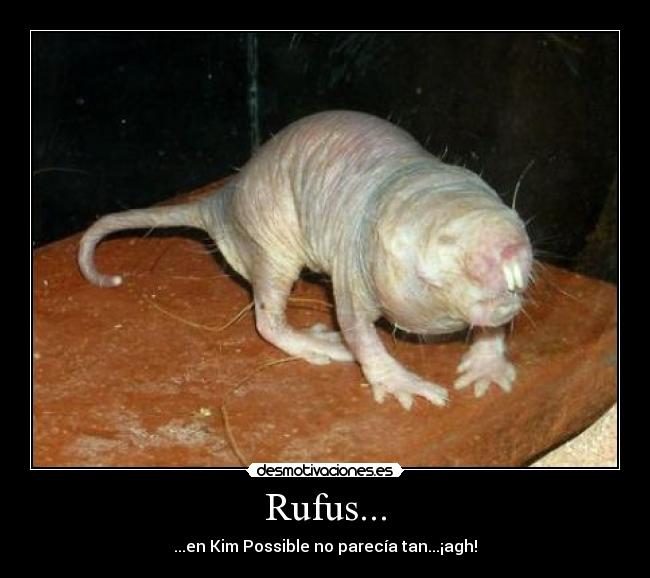 Rufus... - 