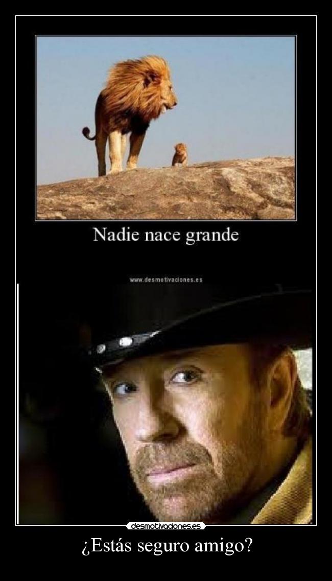 ¿Estás seguro amigo? - 