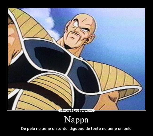Nappa -