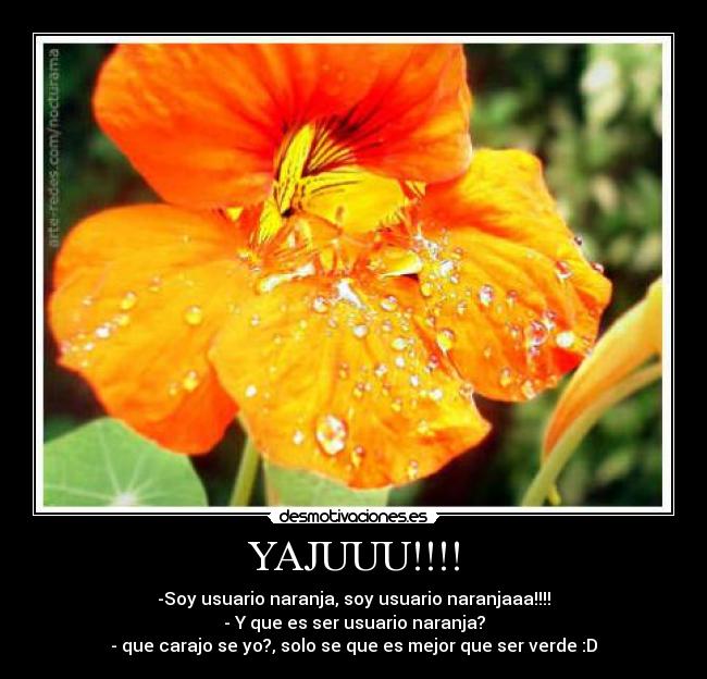 YAJUUU!!!! - -Soy usuario naranja, soy usuario naranjaaa!!!!
- Y que es ser usuario naranja?
- que carajo se yo?, solo se que es mejor que ser verde :D