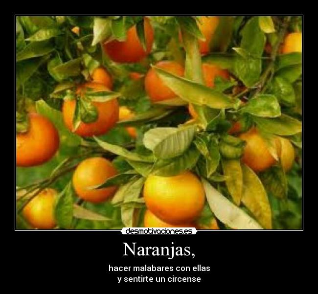 Naranjas, - hacer malabares con ellas
y sentirte un circense