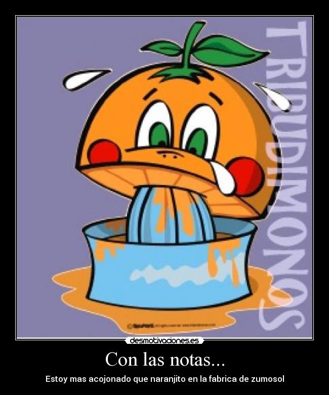 Con las notas... - Estoy mas acojonado que naranjito en la fabrica de zumosol