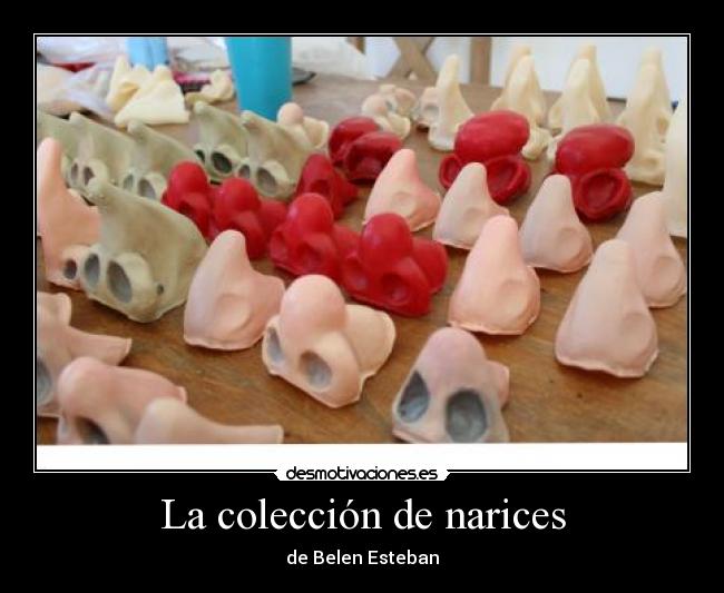 La colección de narices -