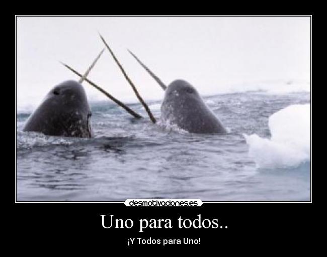 Uno para todos.. - 